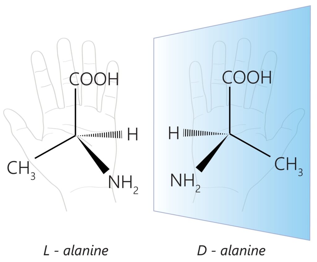 エナンチオマーの図を用いた説明。
L-alanineとD-alanine がそれぞれ鏡合わせのようになっている。